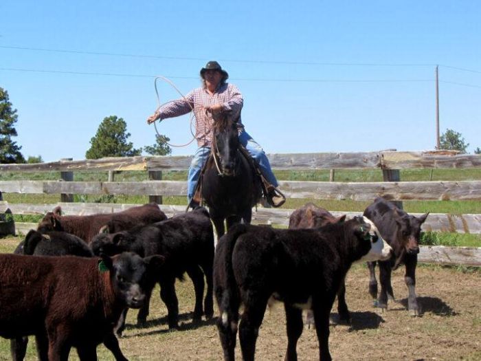 Working & Cattle Ranch "Devils Tower" au Wyoming