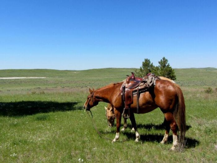Working & Cattle Ranch "Devils Tower" au Wyoming