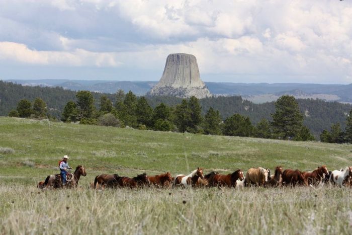 Working & Cattle Ranch "Devils Tower" au Wyoming