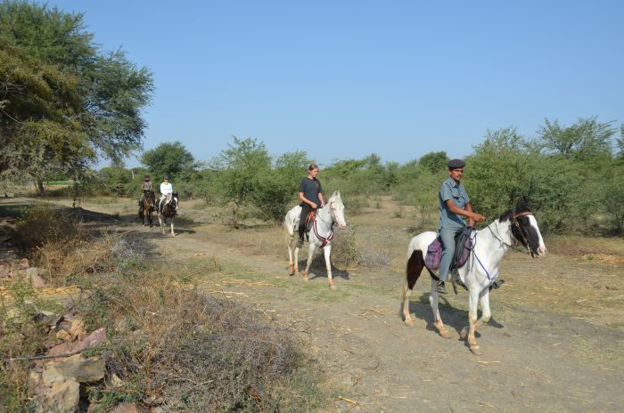 Mewar Safari au Rejastan