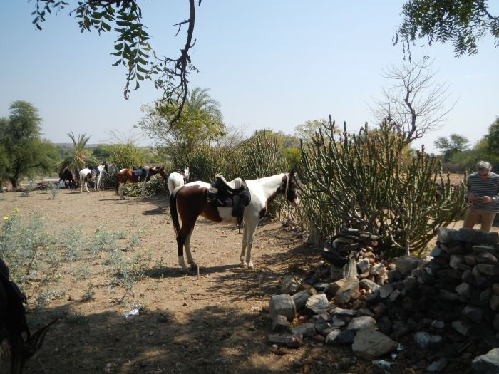 Mewar Safari au Rejastan