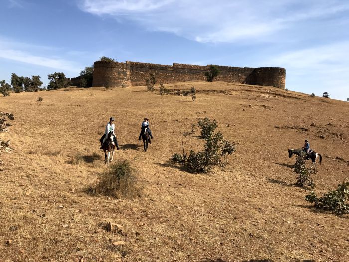 Mewar Safari au Rejastan