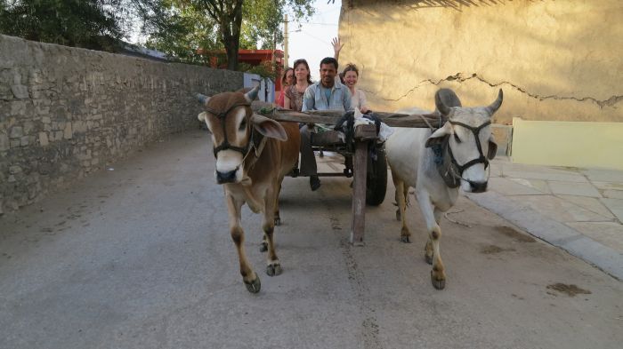 Mewar Safari au Rejastan