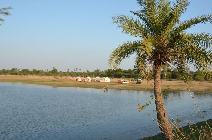 Mewar Safari au Rejastan