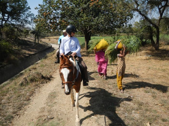 Mewar Safari au Rejastan