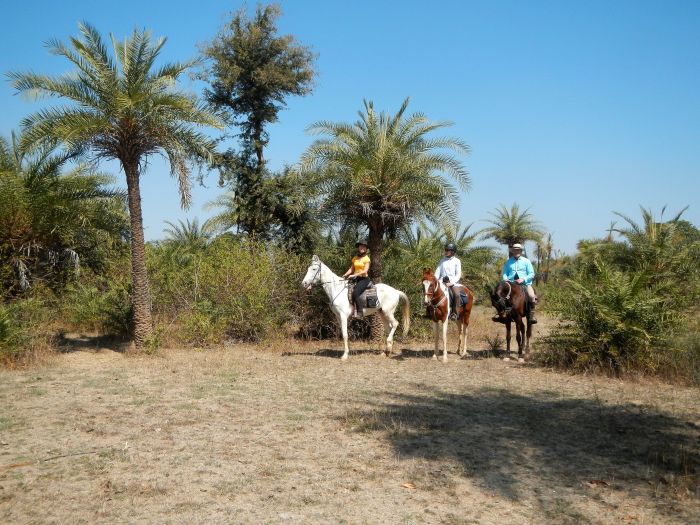 Mewar Safari au Rejastan