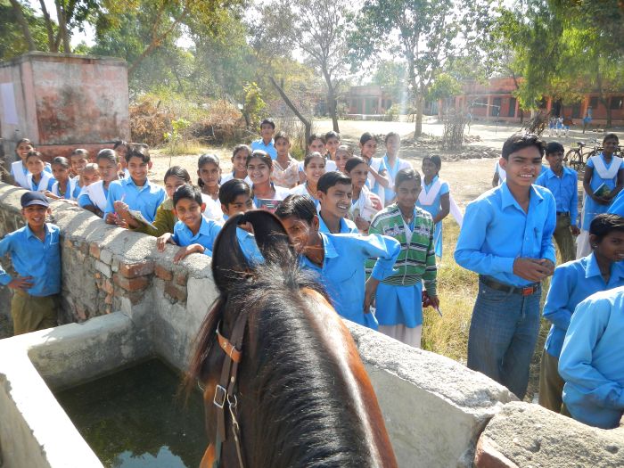 Mewar Safari au Rejastan