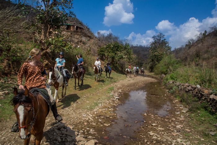 Mewar Safari au Rejastan