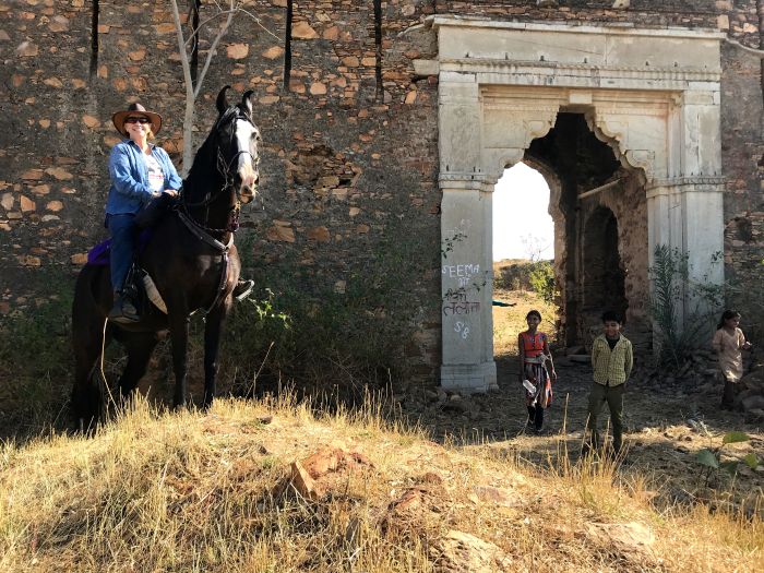 Mewar Safari au Rejastan