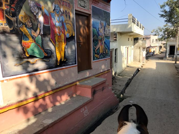 Mewar Safari au Rejastan