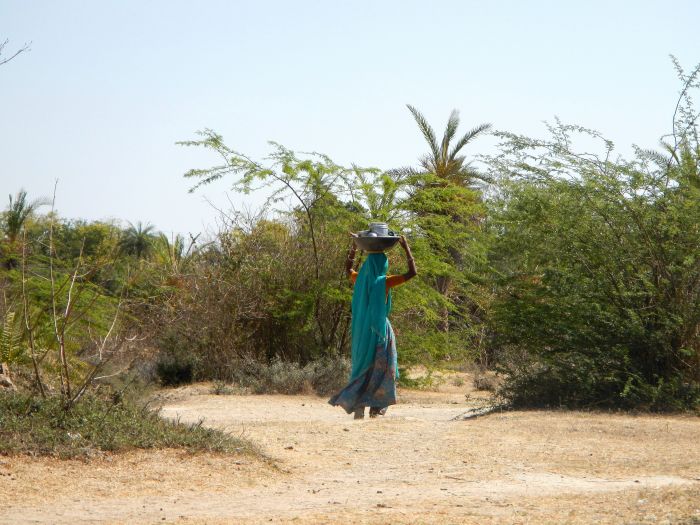 Mewar Safari au Rejastan
