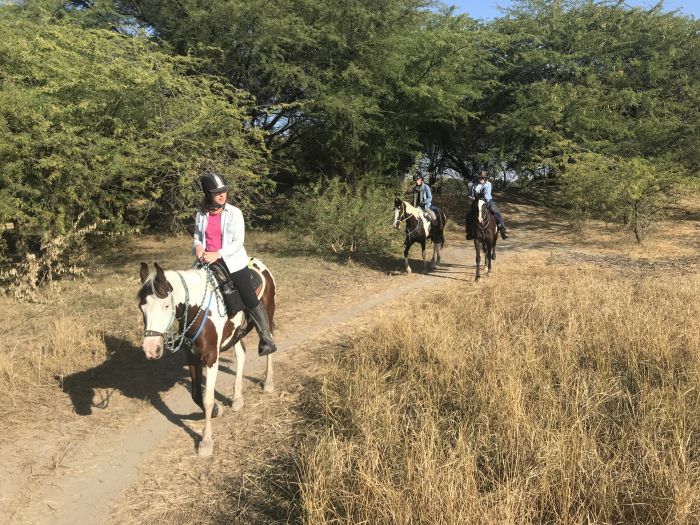 Mewar Safari au Rejastan