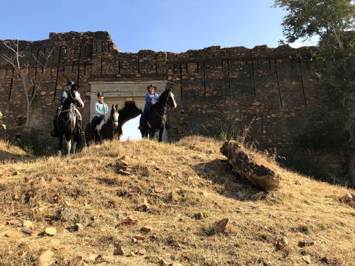 Mewar Safari au Rejastan