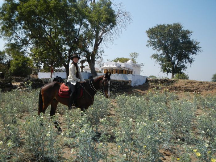 Mewar Safari au Rejastan