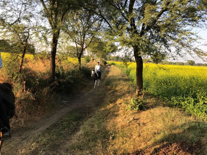 Mewar Safari au Rejastan