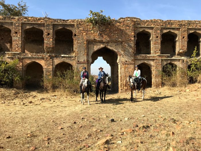 Mewar Safari au Rejastan