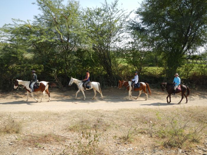 Mewar Safari au Rejastan