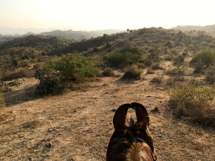 Mewar Safari au Rejastan