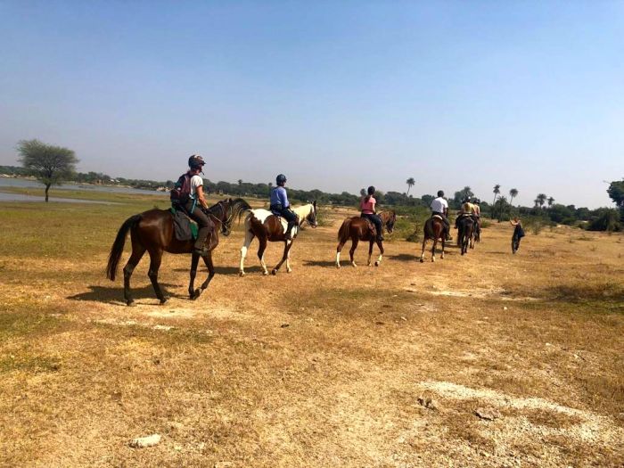 Mewar Safari au Rejastan