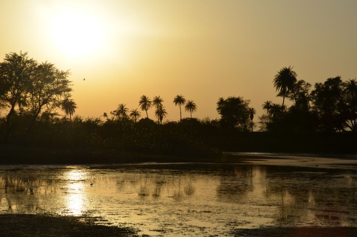 Mewar Safari au Rejastan