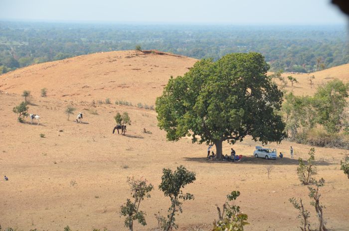 Mewar Safari au Rejastan