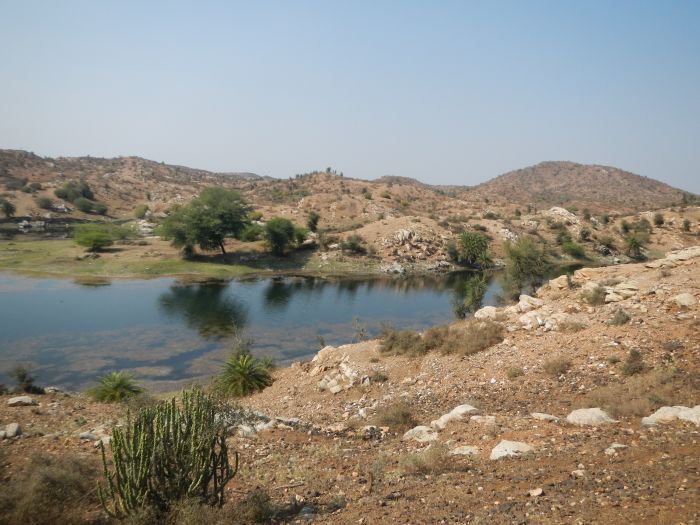 Mewar Safari au Rejastan
