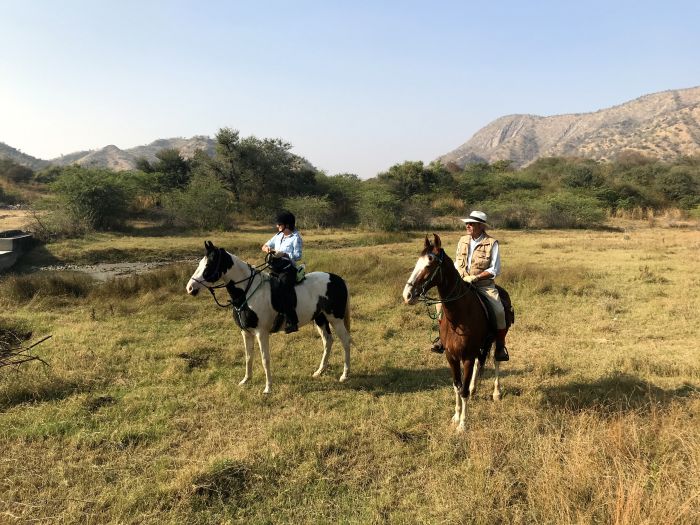 Mewar Safari au Rejastan