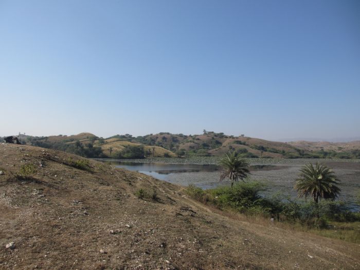 Pushkar Trail - Safari en Inde