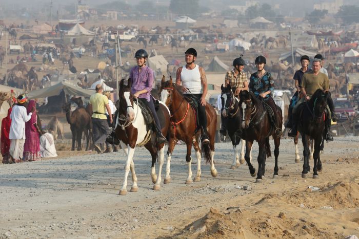 Pushkar Trail - Safari en Inde
