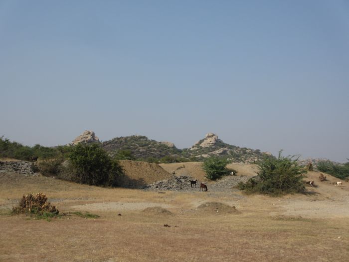 Pushkar Trail - Safari en Inde