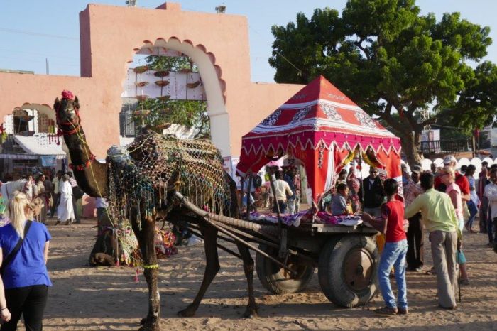 Pushkar Trail - Safari en Inde