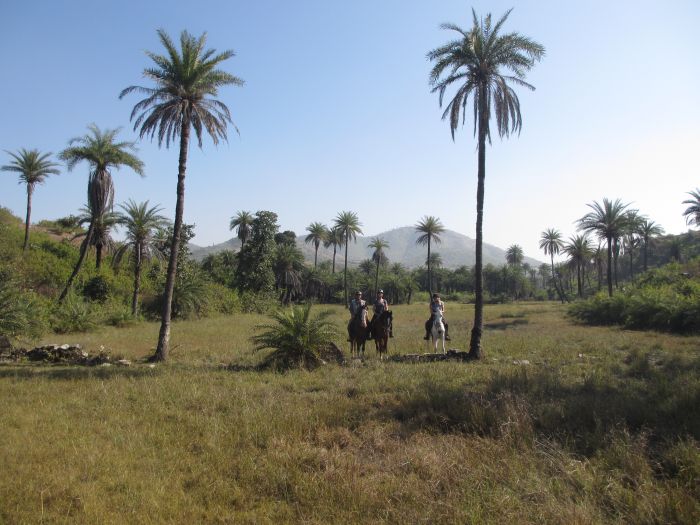 Pushkar Trail - Safari en Inde