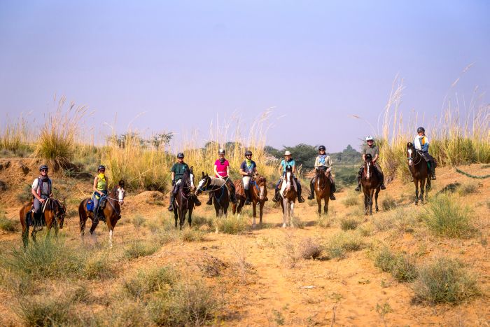 Pushkar Trail - Safari en Inde