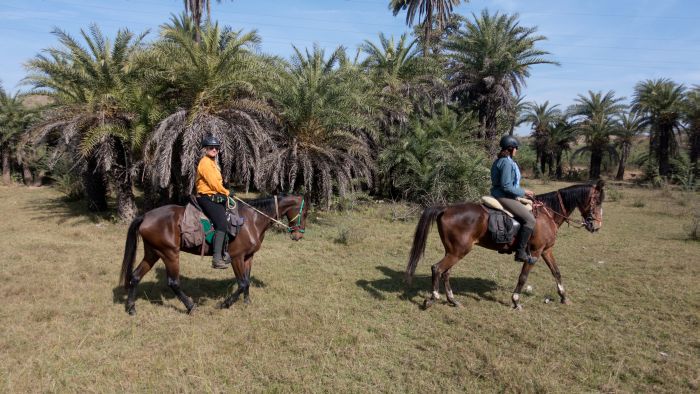 Pushkar Trail - Safari en Inde