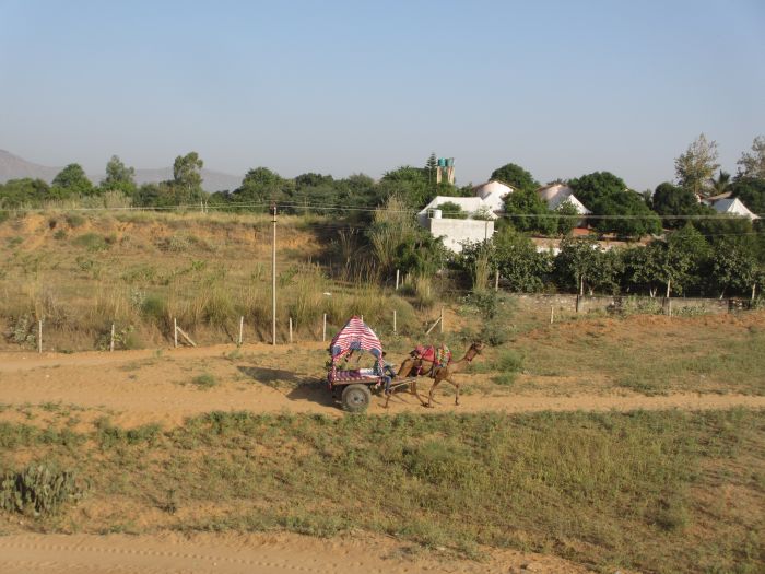Pushkar Trail - Safari en Inde