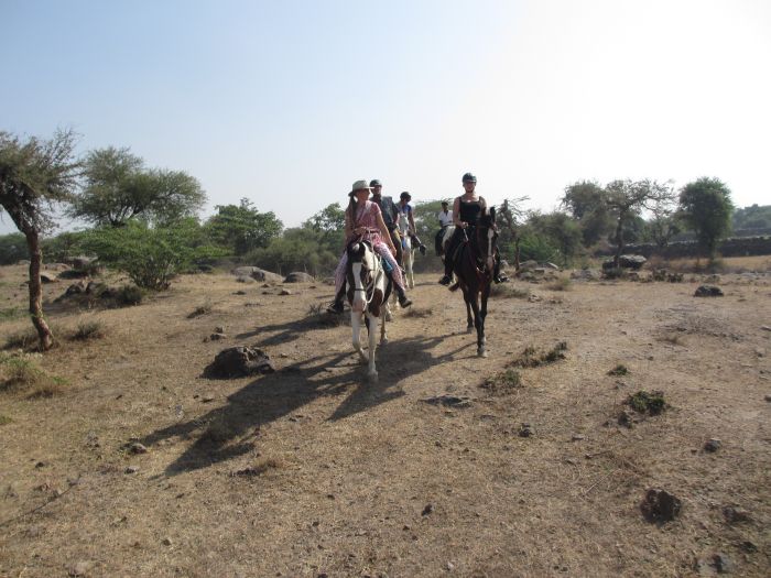 Pushkar Trail - Safari en Inde