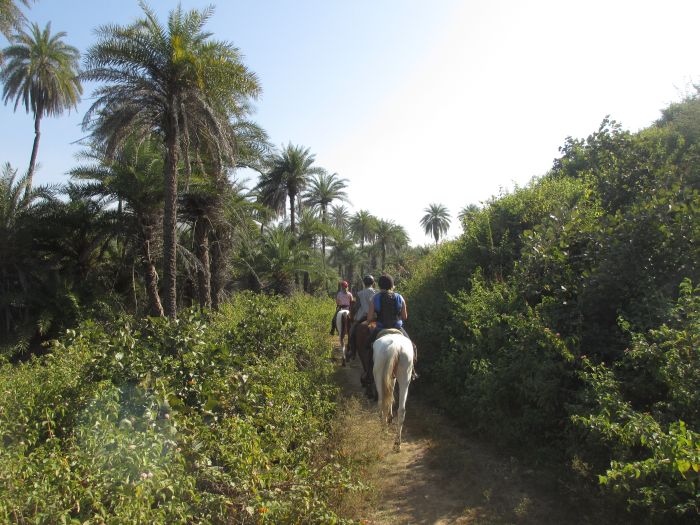 Pushkar Trail - Safari en Inde