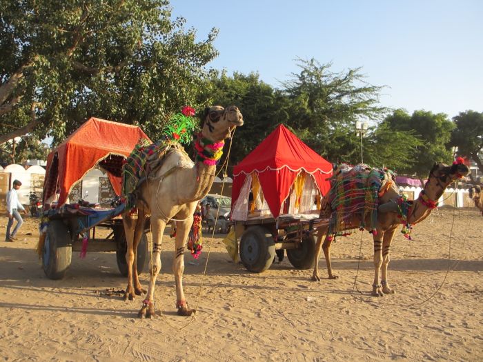 Pushkar Trail - Safari en Inde