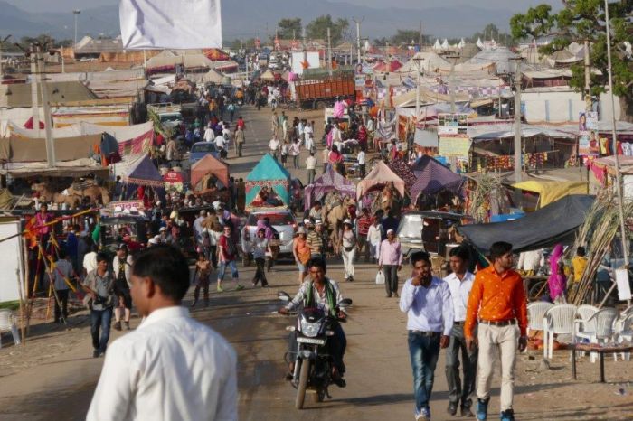 Pushkar Trail - Safari en Inde