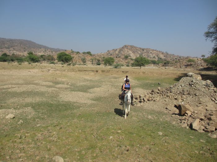 Pushkar Trail - Safari en Inde