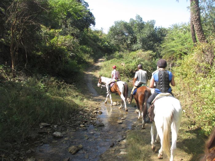 Pushkar Trail - Safari en Inde