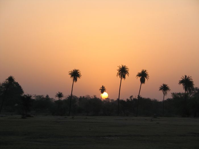 Pushkar Trail - Safari en Inde