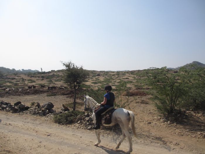 Pushkar Trail - Safari en Inde