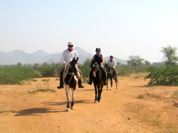 Pushkar Trail - Safari en Inde