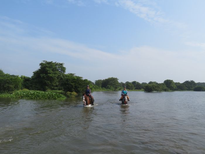 Safari et plage au Sri Lanka