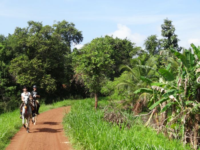 Safari et plage au Sri Lanka