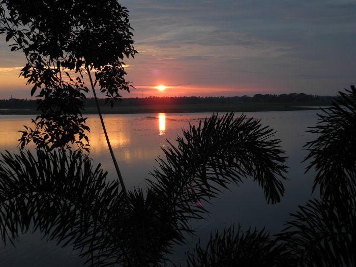 Safari et plage au Sri Lanka