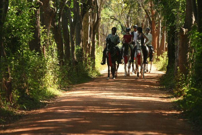 Tropiques et trail des plages du Sri Lanka