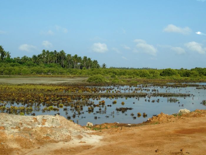 Tropiques et trail des plages du Sri Lanka