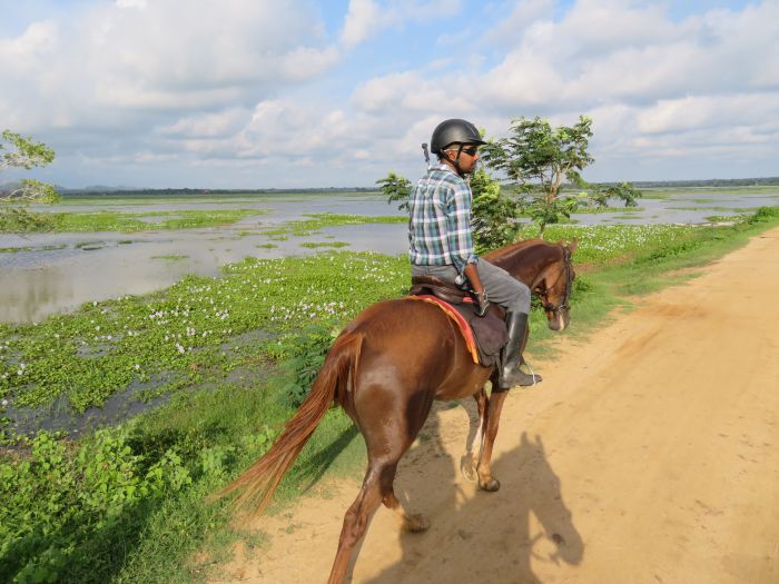 Tropiques et trail des plages du Sri Lanka